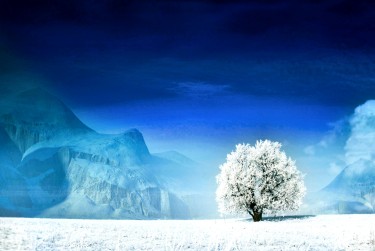 绍兴诸暨2银行个人借款利率揭秘：揭秘低息秘密，轻松贷款无忧